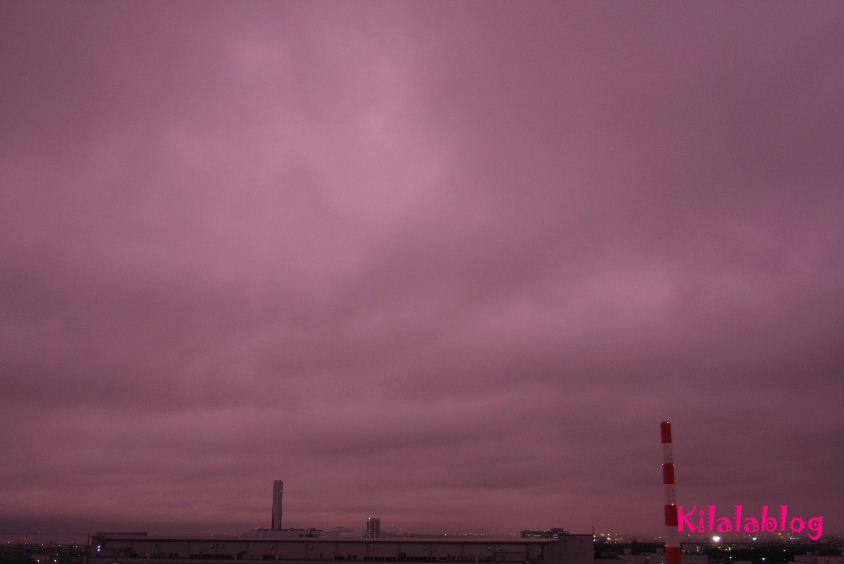 e0130008_23135575.jpg