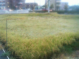 f0127408_23295661.jpg