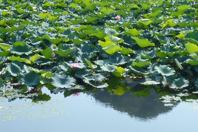 f0221708_1148423.jpg