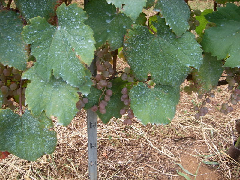 f0088709_16165843.jpg