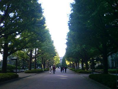 c0098213_114492.jpg