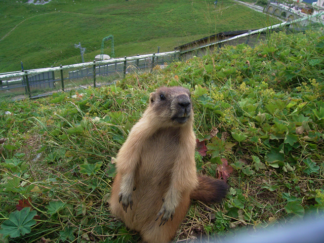 a0030714_613334.jpg