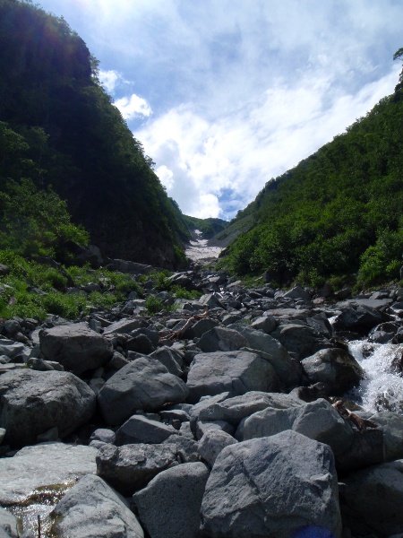 c0177814_17305295.jpg