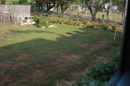 f0097620_115962.jpg