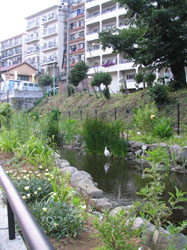 b0208823_21384777.jpg