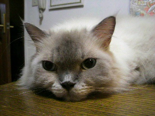 f0106823_1736599.jpg