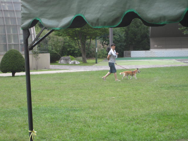 e0191826_23563197.jpg