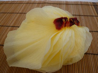 a0098027_1651763.jpg