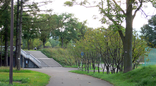 a0046429_22542828.jpg