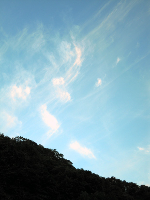 e0037129_2218272.jpg