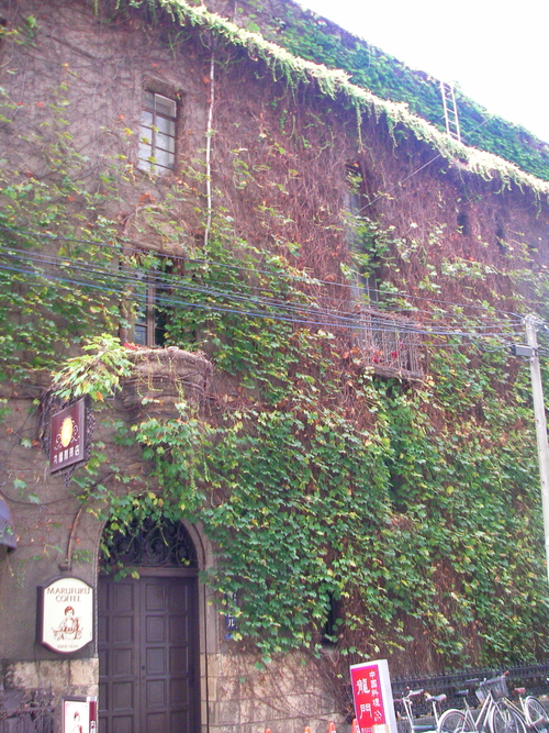 b0162733_6472944.jpg