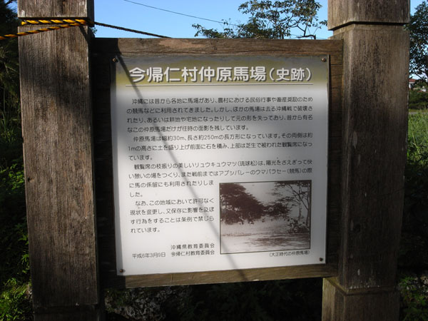f0175934_20333349.jpg