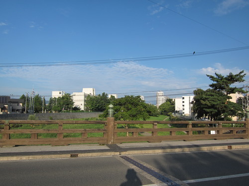 d0156438_8523538.jpg