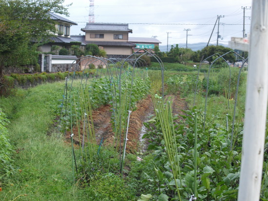 c0072843_1920559.jpg