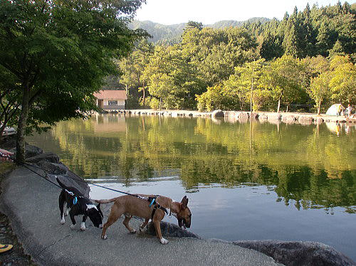 f0094843_10395710.jpg
