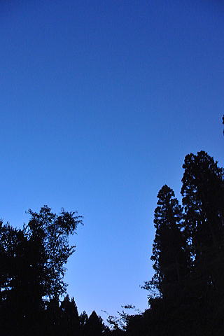 f0094843_1127315.jpg
