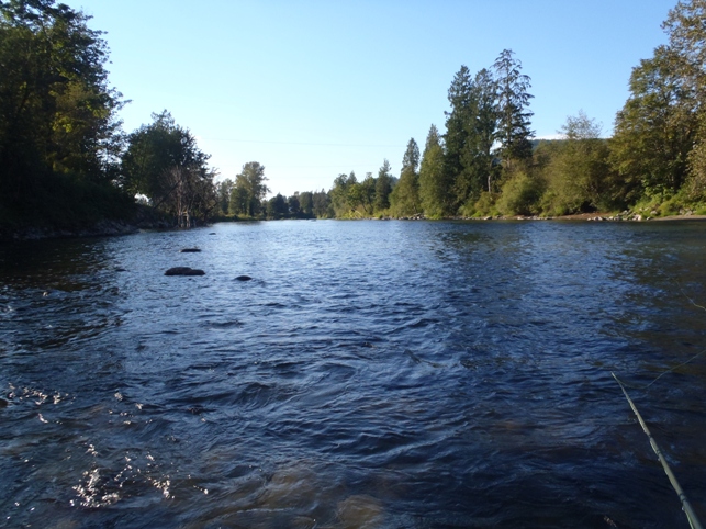 f0084544_14551865.jpg