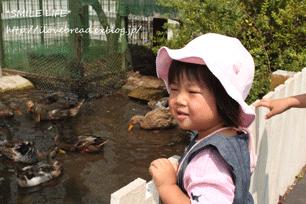 e0182147_4481959.gif