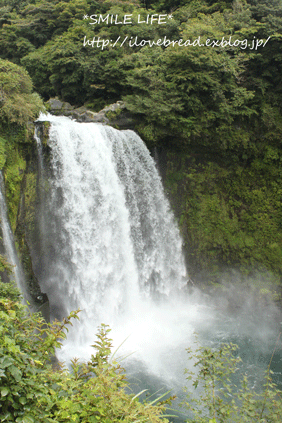 e0182147_4551453.gif