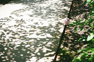b0178548_8432651.jpg