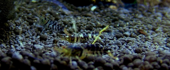 a0046952_174890.jpg