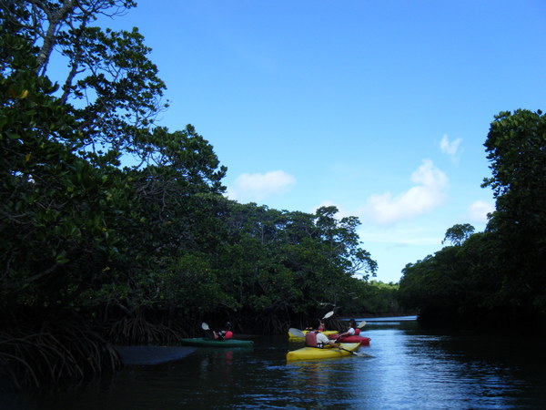 e0134752_2255323.jpg