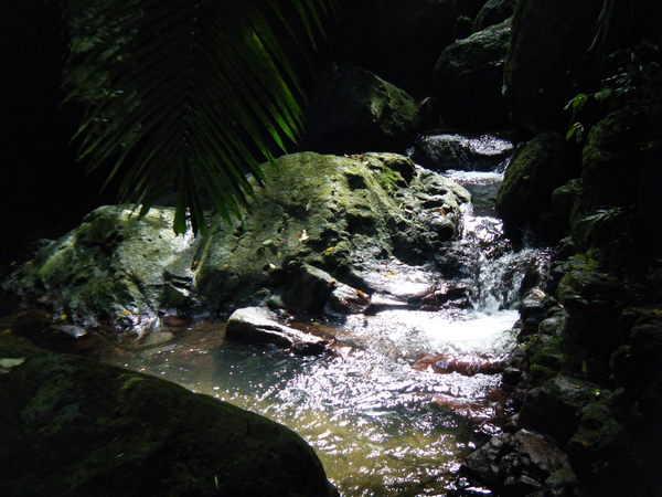 e0134752_2355948.jpg