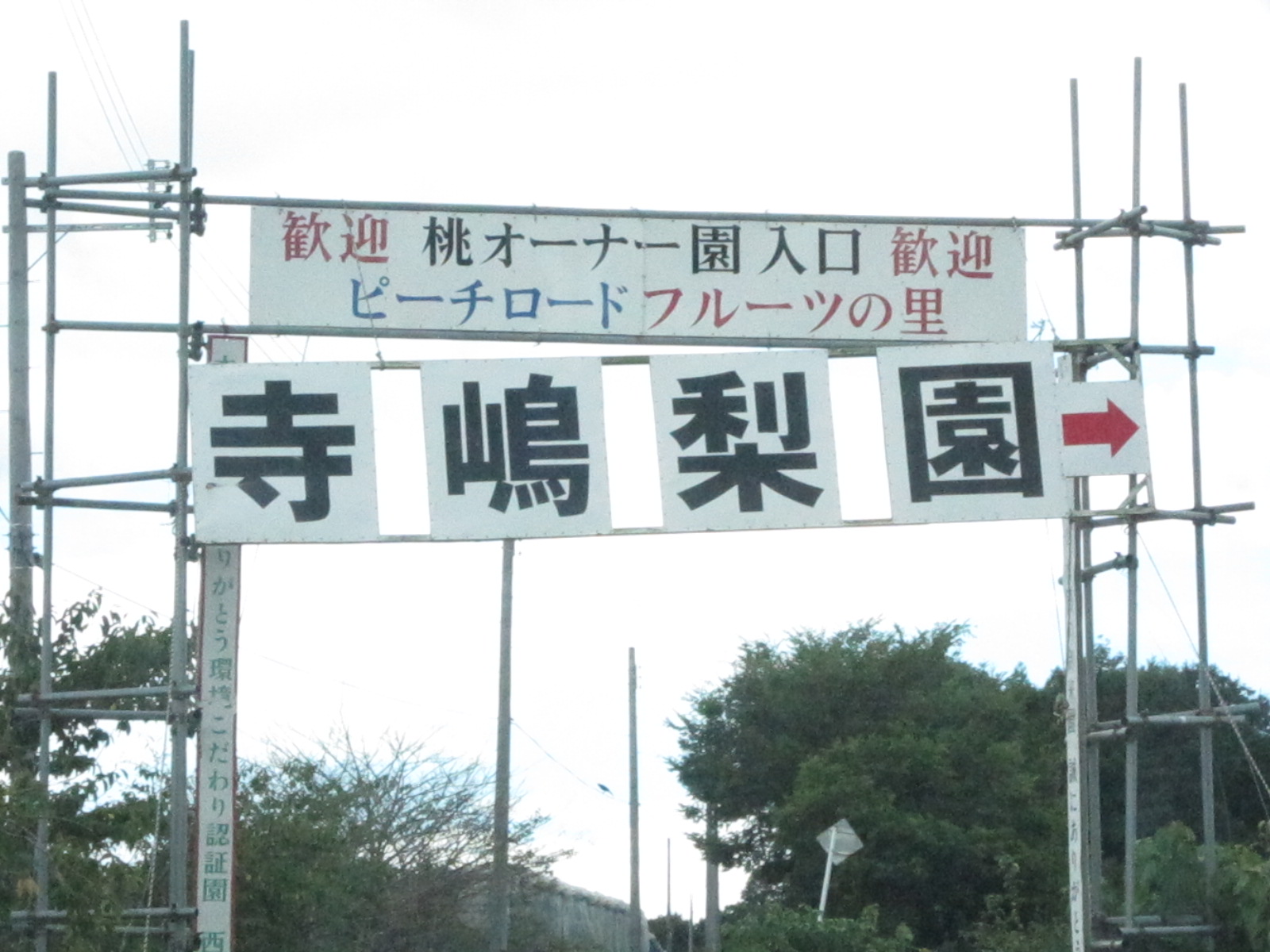 d0155853_1438515.jpg