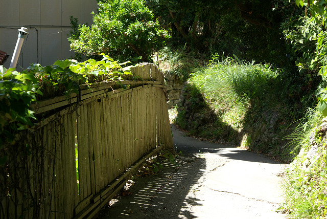 c0080357_23175676.jpg