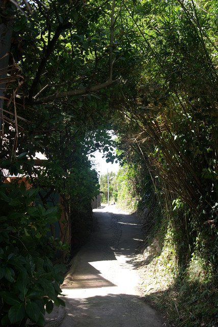 c0080357_2318306.jpg