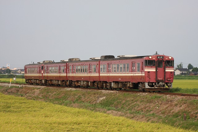 b0002858_0592978.jpg