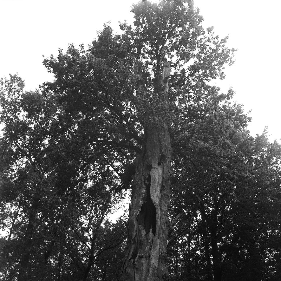 e0134658_113276.jpg