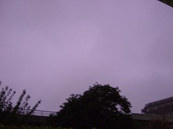 c0047860_2333894.jpg