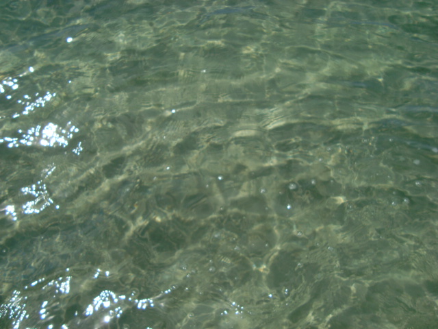 f0232060_0475654.jpg