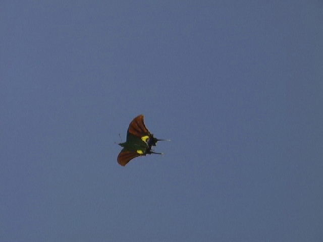 f0226161_19114815.jpg