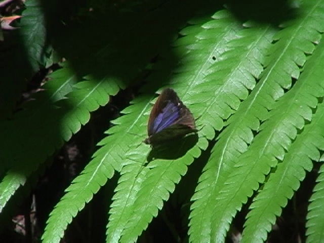 f0226161_191162.jpg