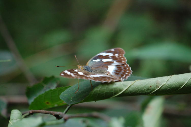 b0167762_2155367.jpg