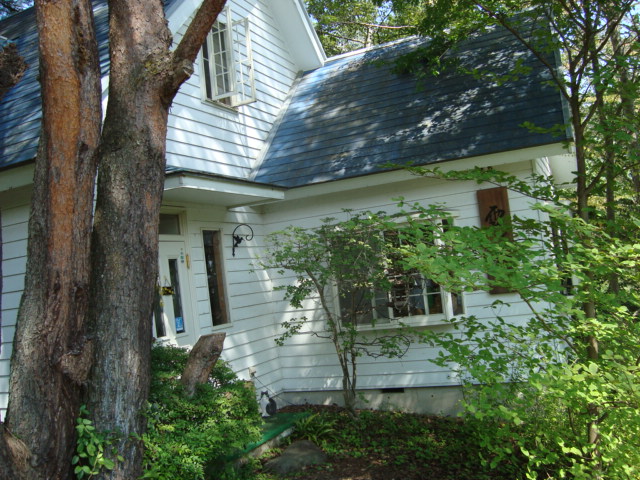 d0152765_17303811.jpg