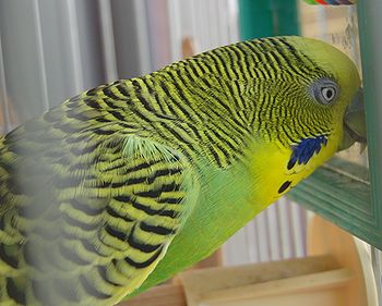 f0196665_0433560.jpg