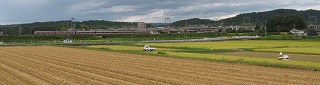 e0041168_9184970.jpg