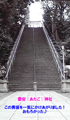 jinja.gif