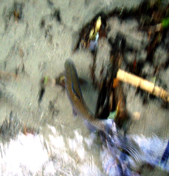 a0169776_1814125.jpg
