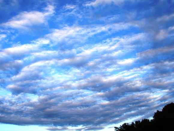 a0169776_182324.jpg