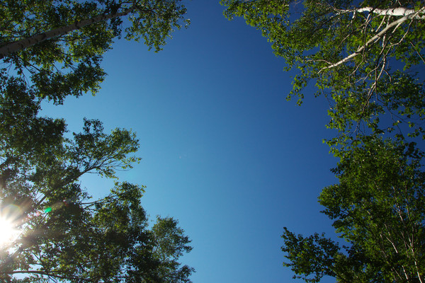 b0083779_2250991.jpg