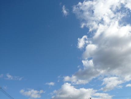 c0175679_17432432.jpg