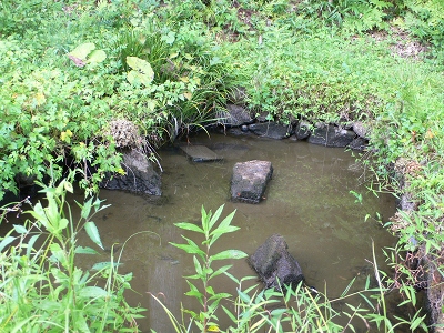 b0042882_23144667.jpg