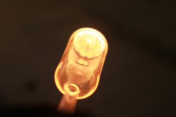 f0238184_2011319.jpg