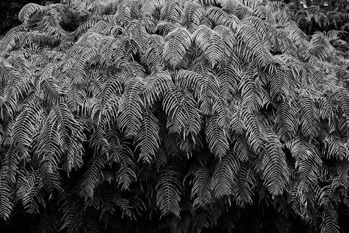 c0059485_21551980.jpg