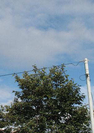 e0130185_18132425.jpg