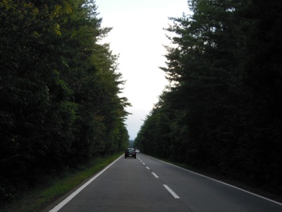 d0044986_23224148.jpg